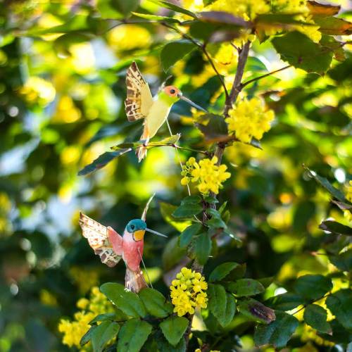 Floristik24 Kolibri mit Draht 5,5cm L22cm sortiert 12St