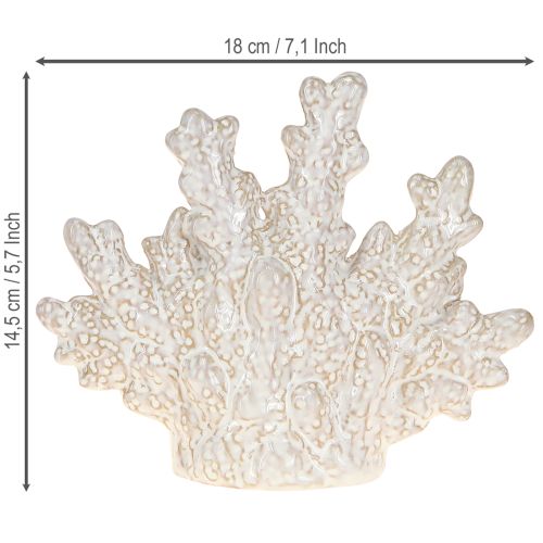 Artikel Korallen Deko Keramik Maritime Tischdeko Beige H14,5cm