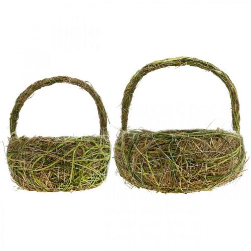 Floristik24 Pflanzkorb mit Griffen Bast und Heu Grün Korb Frühling 16×22/21×27cm 2er-Set
