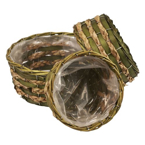 Floristik24 Korb rund Pflanzkorb geflochten Grün Holz Ø26/21/18cm 3er-Set