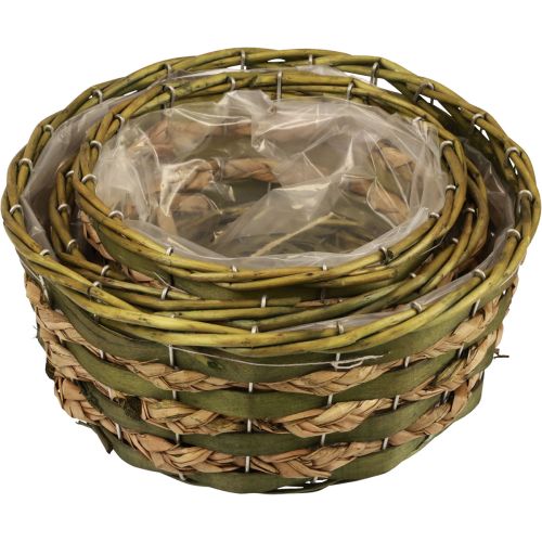 Floristik24 Korb rund Pflanzkorb geflochten Grün Holz Ø26/21/18cm 3er-Set