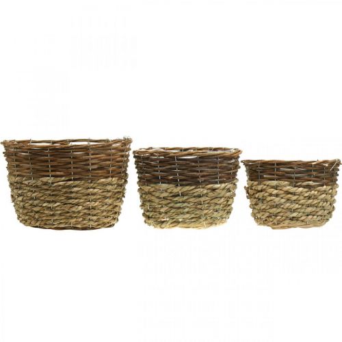 Artikel Naturkorb zum Bepflanzen, Korbdeko, Pflanzschalen Natur L21/19/16cm H21/19/16cm 3er-Set