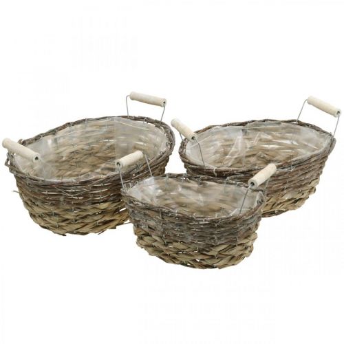 Floristik24 Naturkorb zum Bepflanzen, Korb mit Griffen, Pflanzgefäß Shabby Chic Weiß gewaschen L31/27,5/24cm H12/11,5/10cm 3er-Set