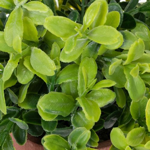 Artikel Kunstpflanze im Blumentopf mit realistischer Textur für Innenräume und Dekoration 18cm 3St