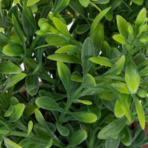 Artikel Kunstpflanze im Blumentopf mit realistischer Textur für Innenräume und Dekoration 18cm 3St