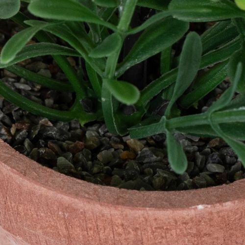 Artikel Kunstpflanze im Blumentopf mit realistischer Textur für Innenräume und Dekoration 18cm 3St