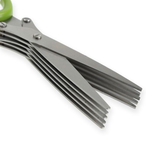 Floristik24 Schnittlauchschere mit 5 Klingen