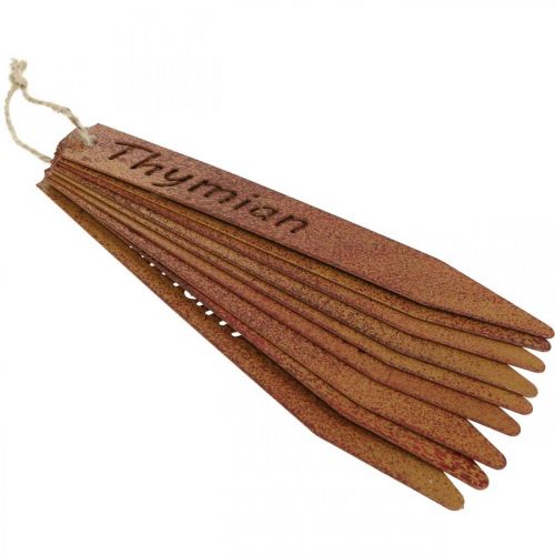 Floristik24 Roststecker, Kräuterschilder, Pflanzenbeschriftung Edelrost L20cm 9St
