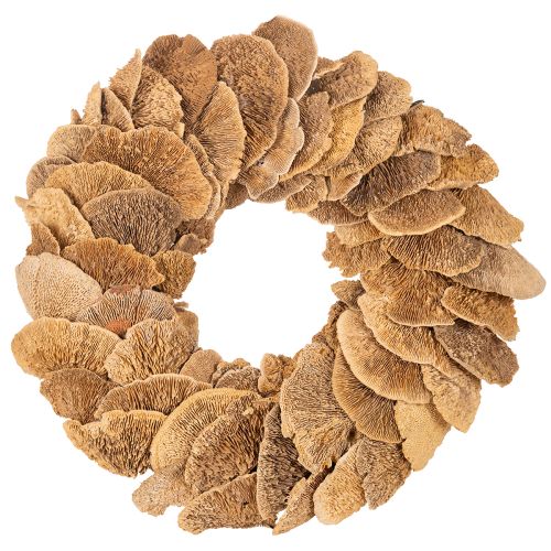 Baumschwamm-Kranz Natur 37 cm für Wand- oder Türdekoration bestellen | Floristik24.at