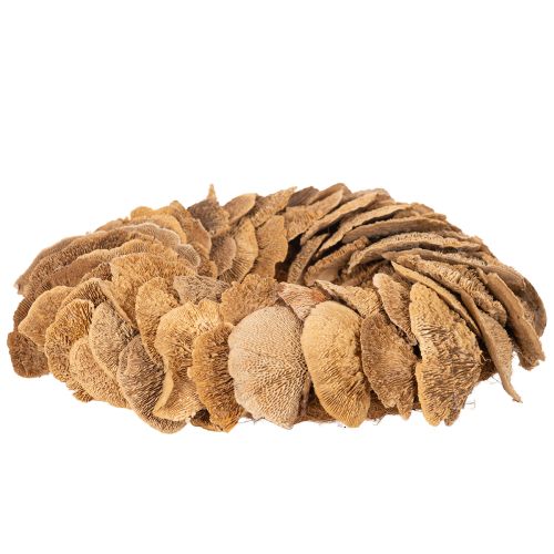 Baumschwamm-Kranz Natur 37 cm für Wand- oder Türdekoration | Floristik24.at