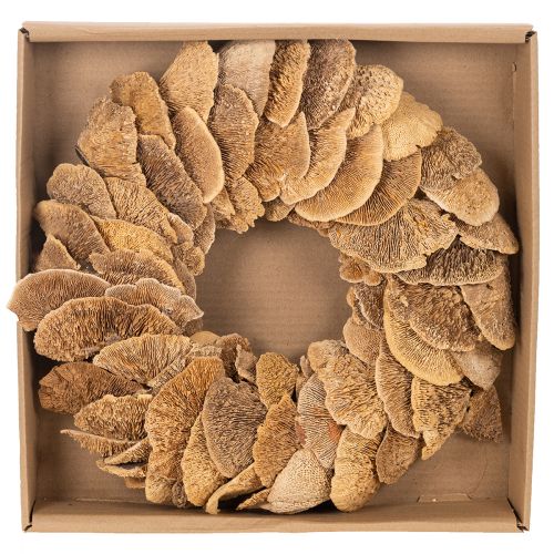 Baumschwamm-Kranz Natur 37 cm für Wand- oder Türdekoration | Floristik24.at