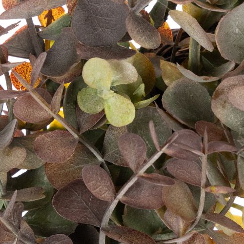 Künstlicher Eukalyptuskranz rund 45 cm Grün-Braun für Herbstdekoration | Floristik24.at