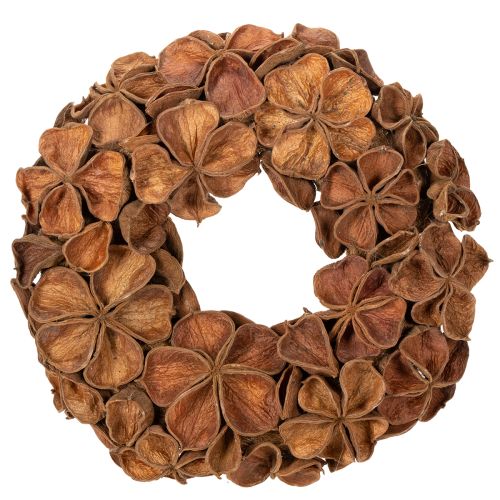 Getrockneter Landlotus-Kranz aus Naturmaterial, 35 cm, braun