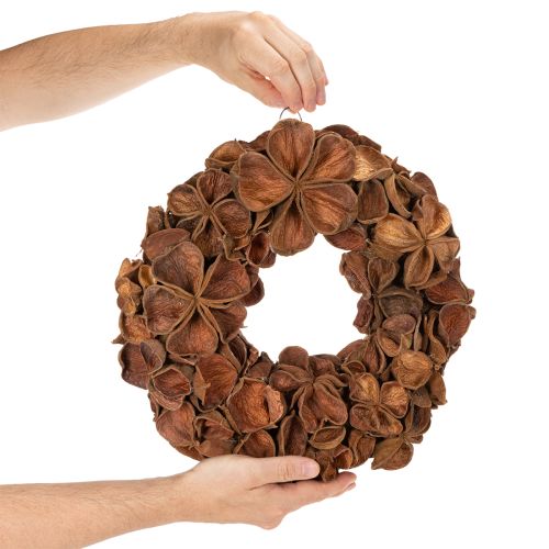Getrockneter Landlotus-Kranz aus Naturmaterial, 35 cm, braun | Floristik24.at