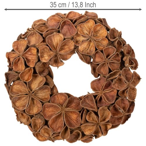 Getrockneter Landlotus-Kranz aus Naturmaterial, 35 cm, braun | Floristik24.at
