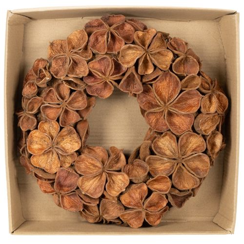 Getrockneter Landlotus-Kranz aus Naturmaterial, 35 cm, braun | Floristik24.at