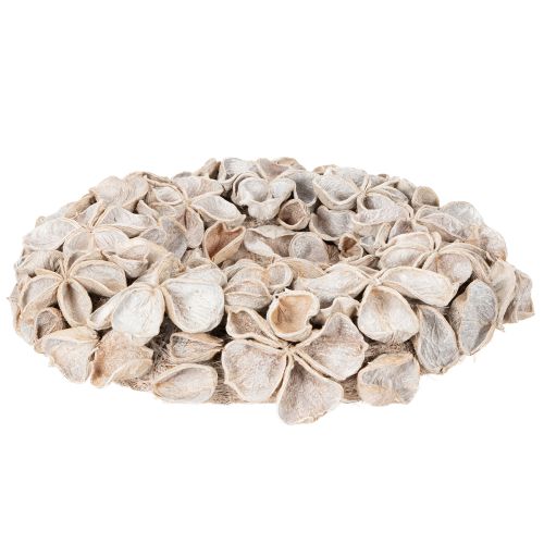Trockenblumenkranz Landlotus 35cm geweißte Blüten | Floristik24.at