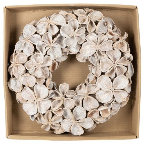 Trockenblumenkranz Landlotus 35cm geweißte Blüten | Floristik24.at