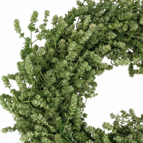 Floristik24 Weihnachtskranz Grün Trockenblumenkranz Leinenkraut Ø34cm
