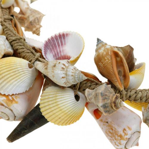 Floristik24 Deko-Kranz Muscheln und Schnecken Natur Maritime Deko Ø30cm