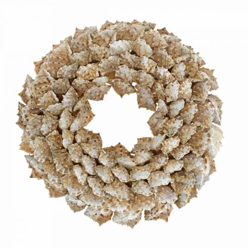 Dekokranz Schnecken Maritime Deko Türkranz Seeschnecken Ø25cm