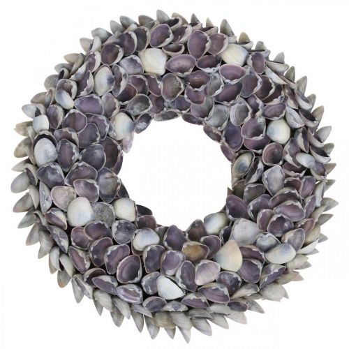 Floristik24 Muschelkranz, Violett Chippy Naturmuscheln, Ring aus Muscheln Ø25cm