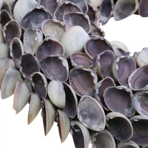 Floristik24 Muschelkranz, Violett Chippy Naturmuscheln, Ring aus Muscheln Ø25cm