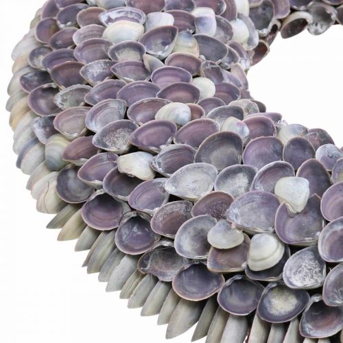 Floristik24 Muschelkranz, natürliche Muscheln, Violett Chippy, Meereskranz Ø40cm