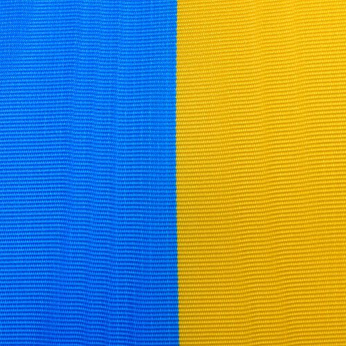 Floristik24 Kranzbänder Moiré blau-gelb 125 mm