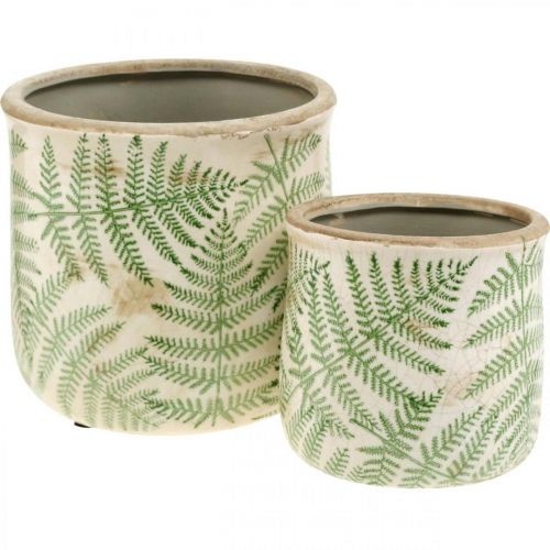 Floristik24 Übertopf Steingut Farn Pflanzkübel Keramik Ø15/10,5cm 2er-Set