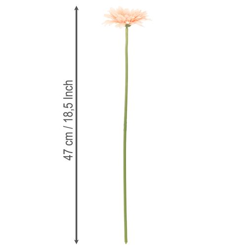 Künstliche Gerbera aus Kunststoff Apricot 47cm 6St | Floristik24.at
