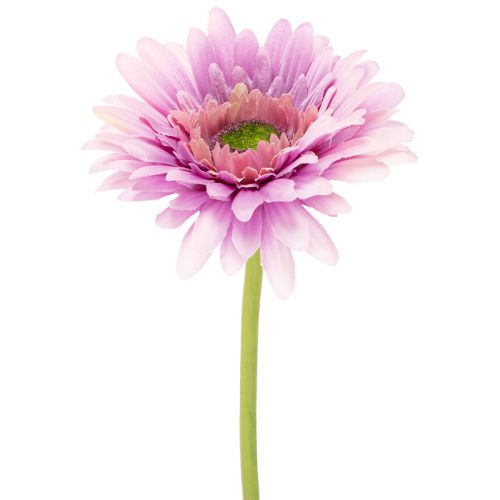 Künstliche Gerbera Blume 47cm Lila aus Kunststoff und Metall 6St bestellen | Floristik24.at