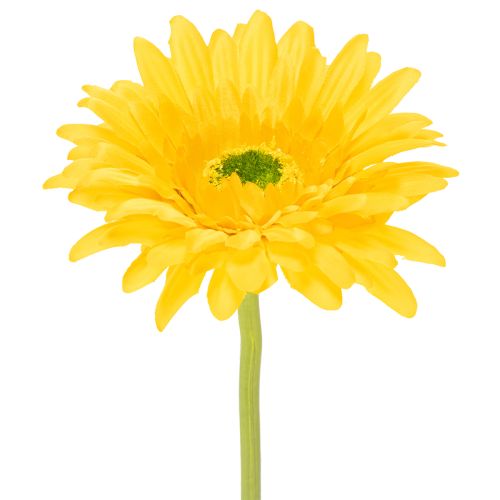 Künstliche Gerbera-Blume aus Kunststoff und Metall, Gelb, 47 cm 6St bestellen | Floristik24.at
