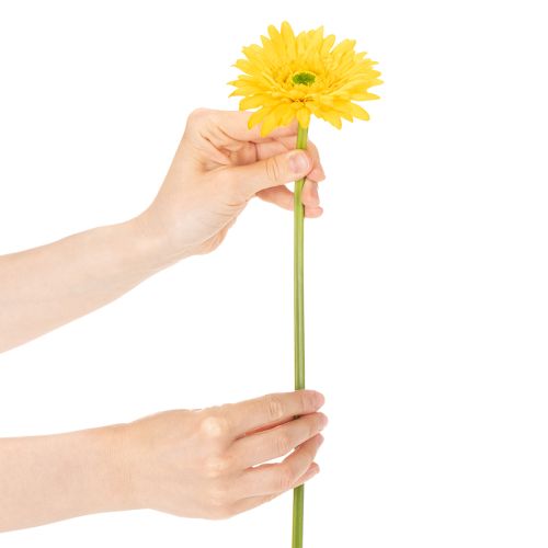 Künstliche Gerbera-Blume aus Kunststoff und Metall, Gelb, 47 cm 6St | Floristik24.at