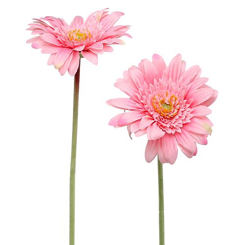 Floristik24 Künstliche Gerbera Rosa Ø10cm L53cm 6St