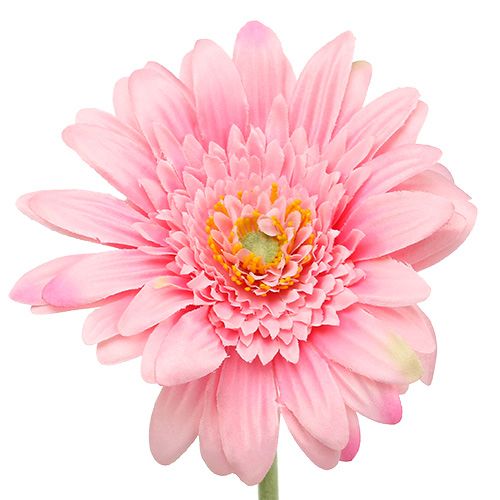 Floristik24 Künstliche Gerbera Rosa Ø10cm L53cm 6St