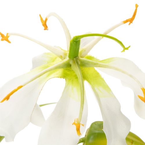 Künstliche Gloriosa Blume Weiß Gelb Blütenzweig 80 cm 3er-Set für Dekoration | Floristik24.at
