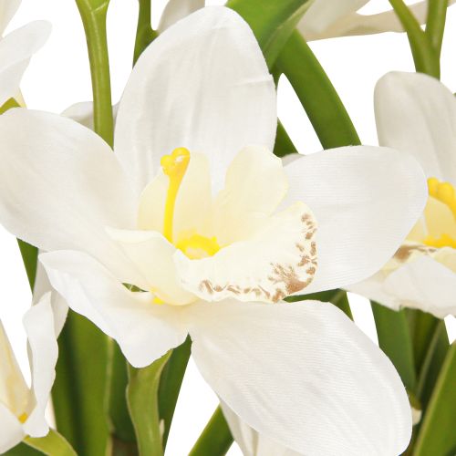 Artikel Künstliche Orchideen im Topf mit weißen Blüten H80cm