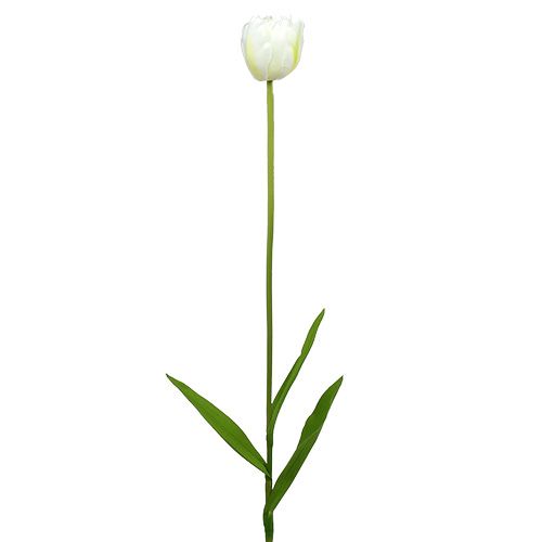 Floristik24 Künstliche Tulpen Weiß-Grün 86cm 3St