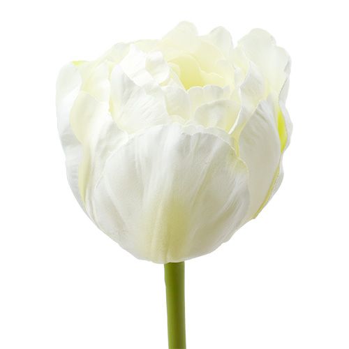 Floristik24 Künstliche Tulpen Weiß-Grün 86cm 3St
