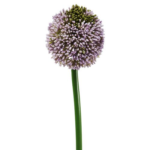 Floristik24 Kunstblumen Allium Lila Ø10cm L65cm