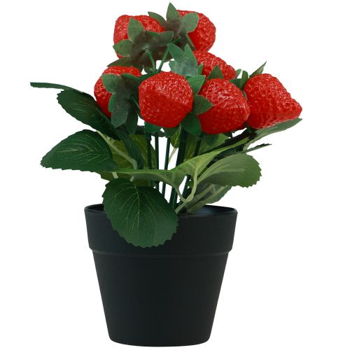 Floristik24 Künstliche Erdbeer Pflanze im Topf Kunstpflanze 19cm