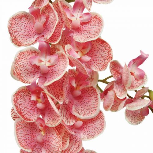 Artikel Künstliche Orchideen Deko Kunstblume Orchidee Rosa 71cm