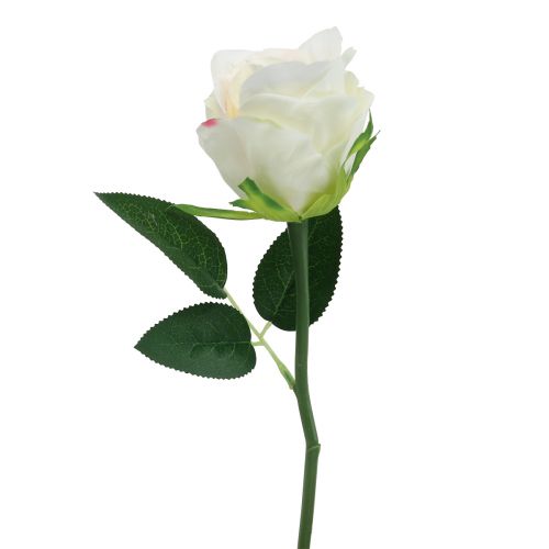 Künstliche Rosen im Bund Weiß 30cm 8 St | Floristik24.at