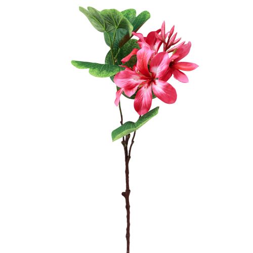 Floristik24 Künstlicher Orchideenzweig Bauhinia Pink Kunstpflanze 62cm