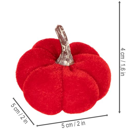 Deko Kürbis Set aus Samt in Rot, Orange und Gelb, 5cm, 12 Stück | Floristik24.at
