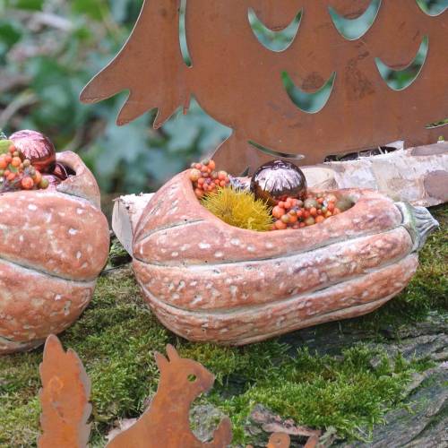 Floristik24 Kürbis zum Bepflanzen Orange 28×15×14cm