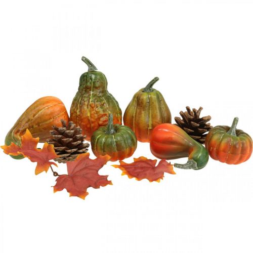 Floristik24 Kürbis Deko Zapfen Herbstblätter Herbst Deko Set 5-11cm