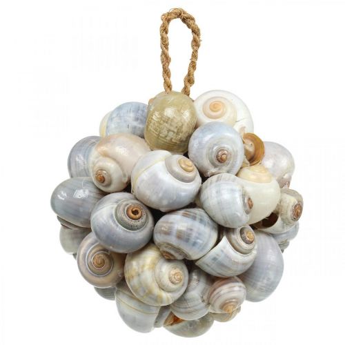 Floristik24 Maritime Deko Kugel Seeschnecken Muschelkugel Naturdeko Ø12cm