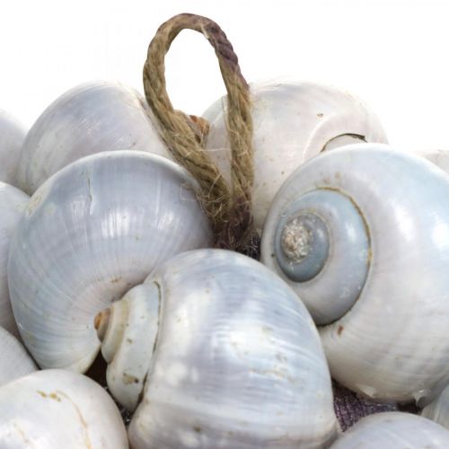 Floristik24 Deko Kugel Seeschnecken groß Maritime Deko zum Aufhängen Ø25cm